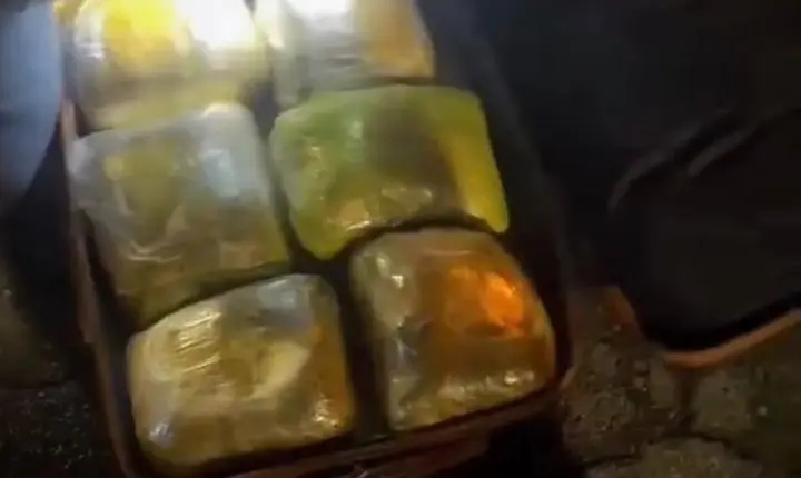 Polícia Militar captura boliviano com 12kg de maconha em ônibus na Marginal Tietê