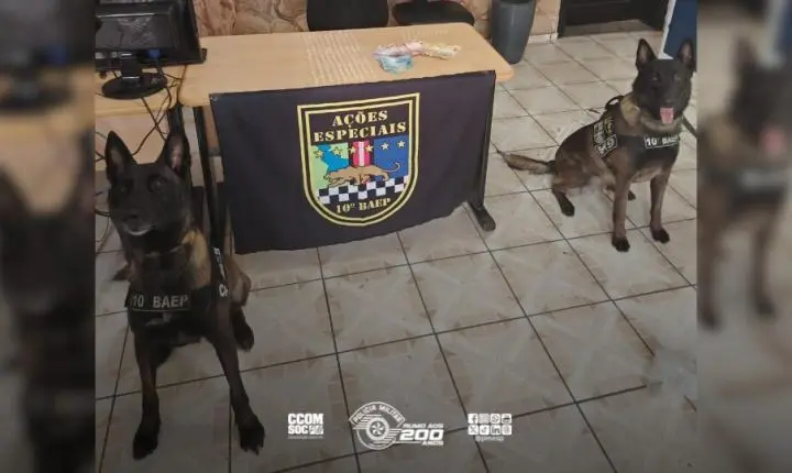 Polícia Militar prende homem por tráfico de drogas em Sumaré