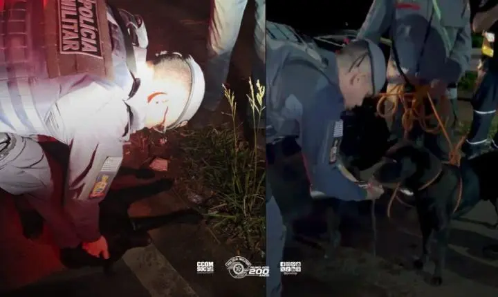 Polícia Militar auxilia no salvamento de cachorros em área de risco em Mairiporã
