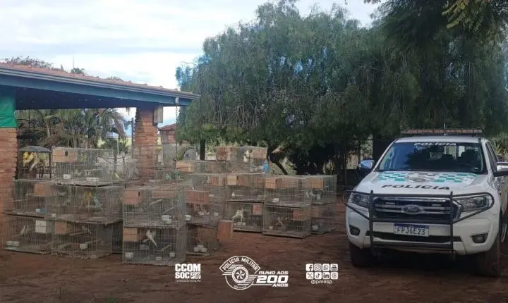 Policiamento Ambiental resgata 179 aves mantidas em situação de maus-tratos em Pirassununga/SP