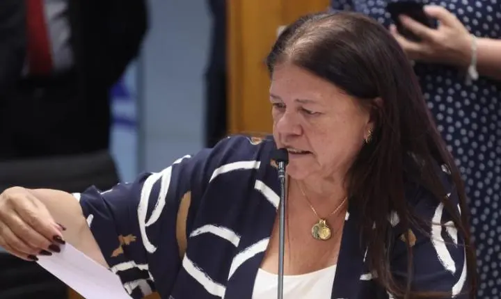 Projeto de lei na câmara visa apoiar parentes que acolhem crianças