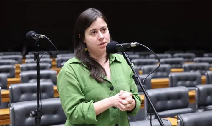 Proposta na Câmara restringe acesso a armas de fogo para quem possui medida protetiva
