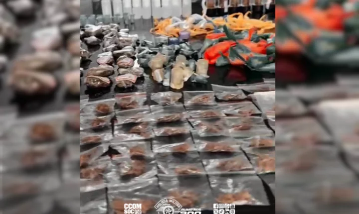 Quase um quilo de drogas é apreendido durante ação policial em São Paulo