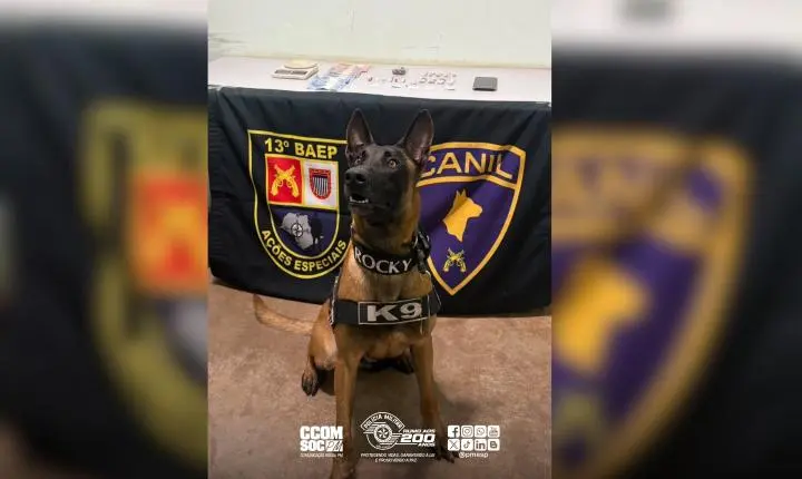 Traficante é preso pelo 13º BAEP em Bocaina/SP